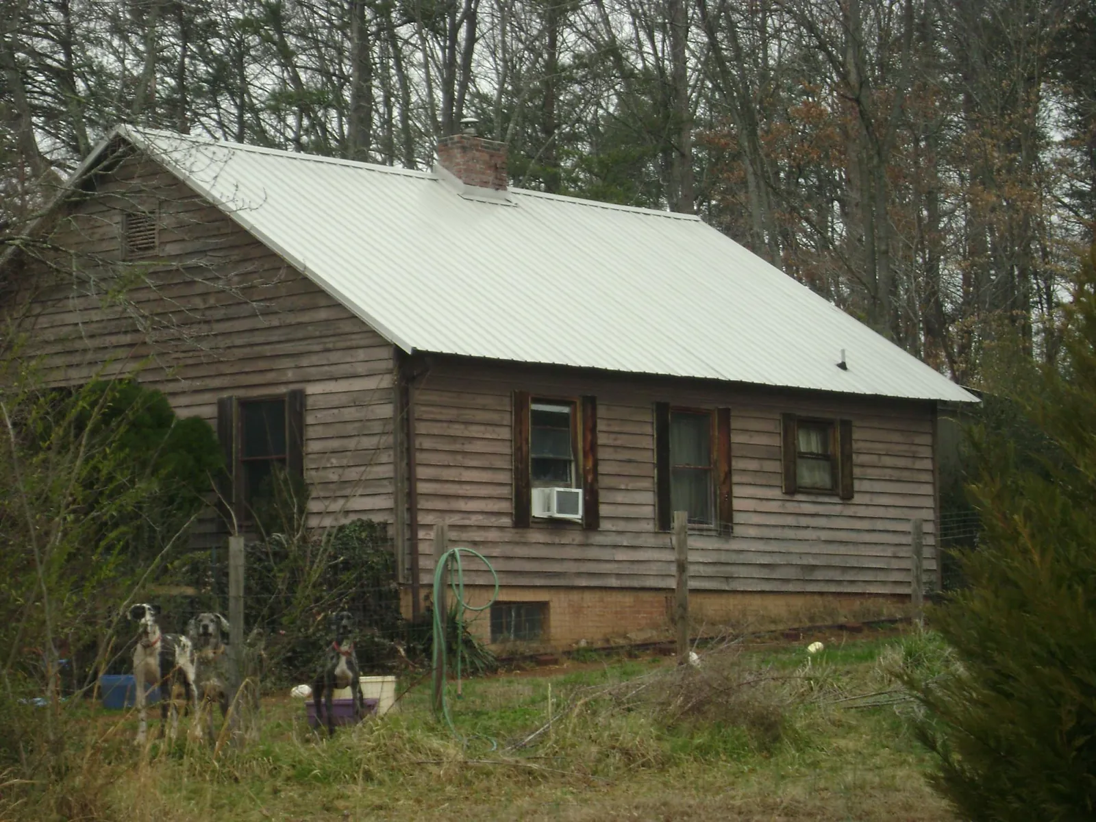 White metal roof on an old wood sided farmhouse, from a Asphalt Shingle Roof Repair job in Turtle Creek